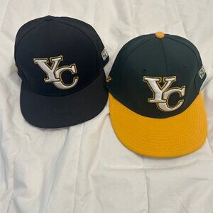 Yavapai College Baseball Cats